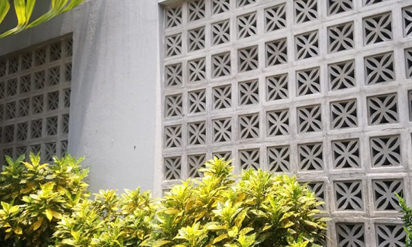 Mẫu D08